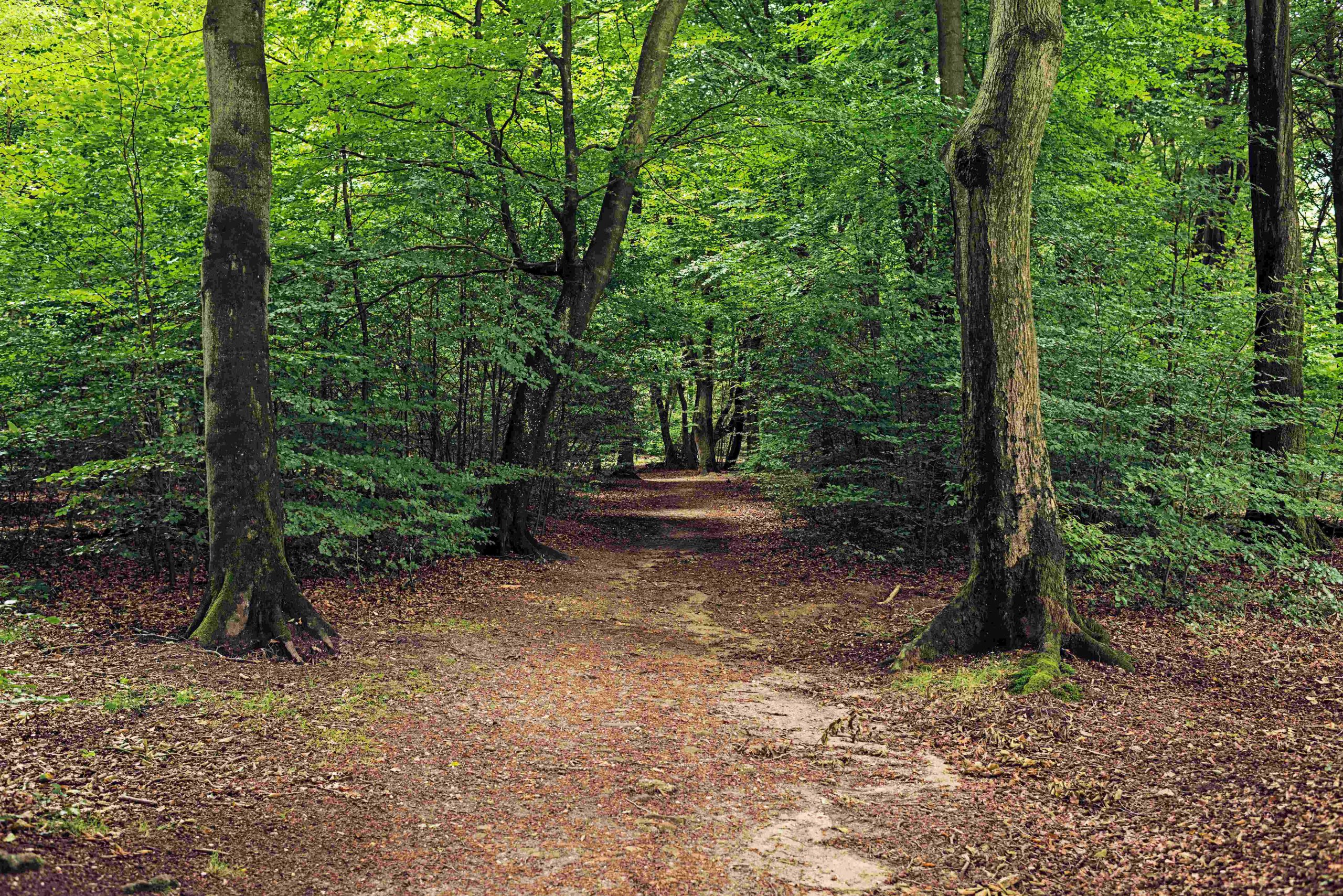 Le Groupe Gallouédec Pompes Funèbres Gallouédec